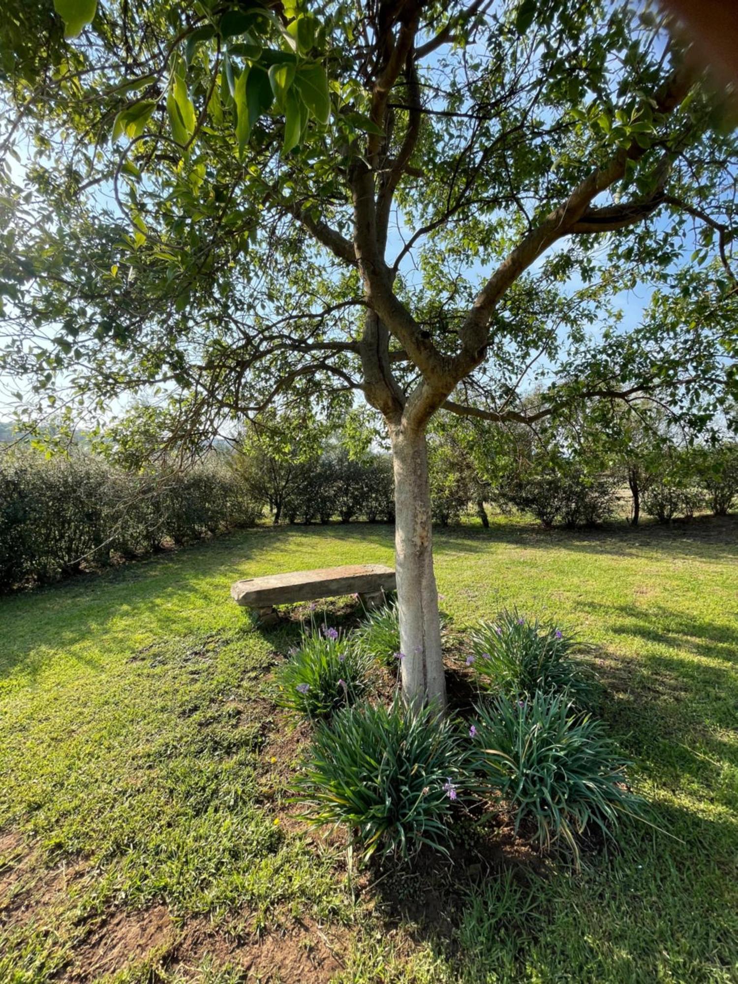 Tugela River Lodge Winterton Esterno foto